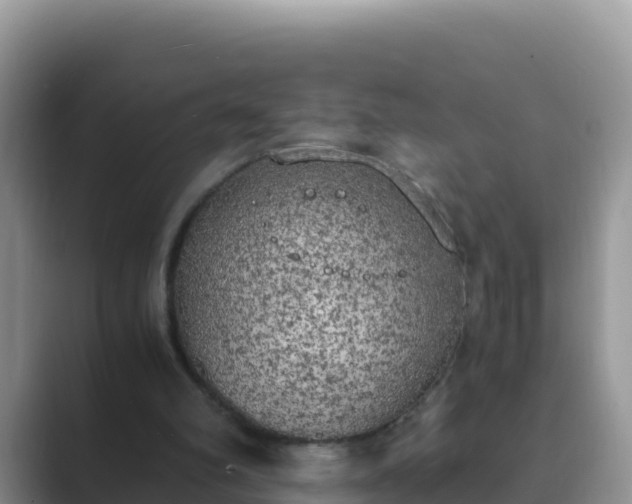 X0000089830102200707051046