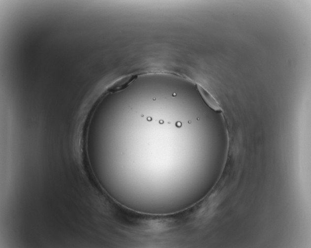 X0000089830103200707051046