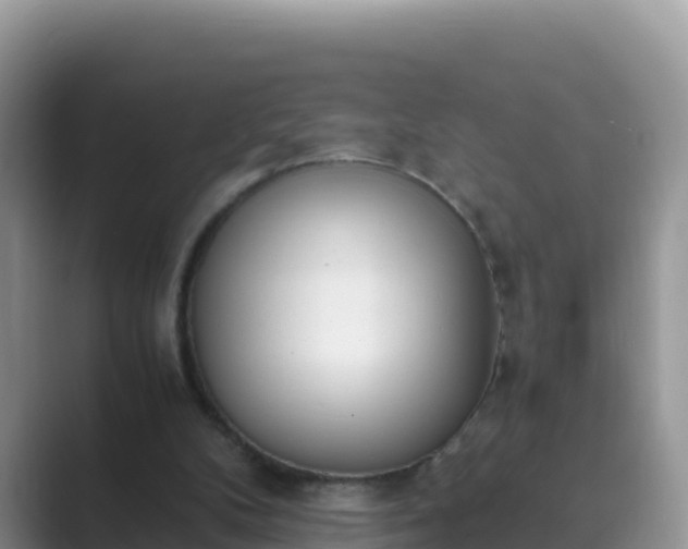 X0000089830104200707051046