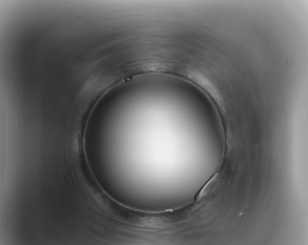 X0000089830105200707051046