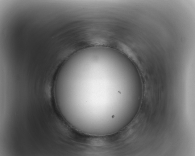 X0000089830106200707051046