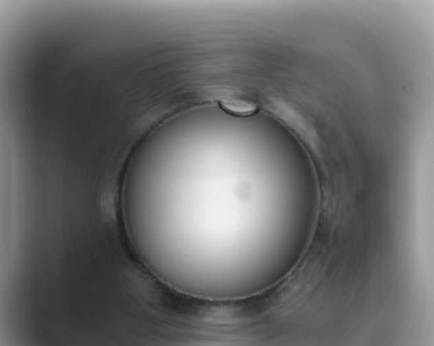 X0000089830107200707051046