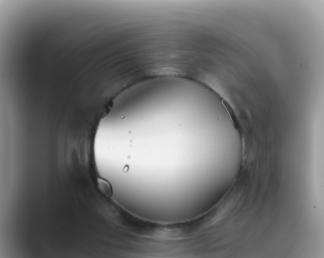 X0000089830109200707051046