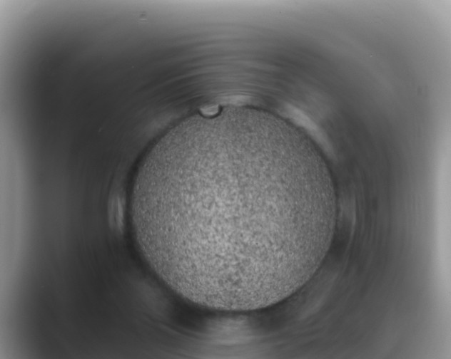 X0000089830110200707051046