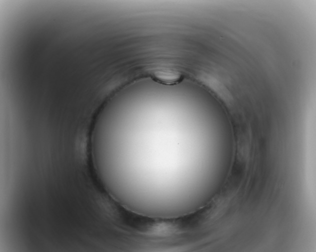 X0000089830111200707051046