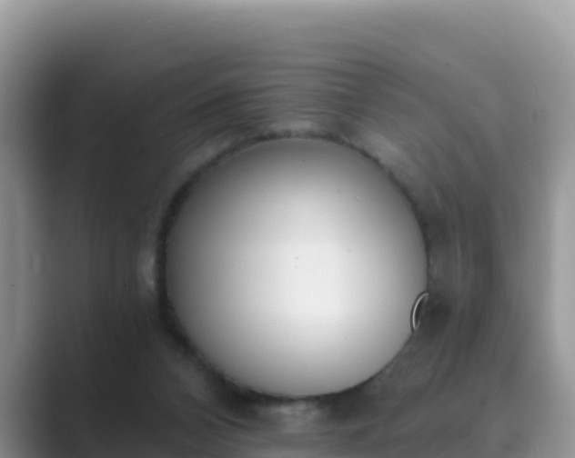 X0000089830112200707051046