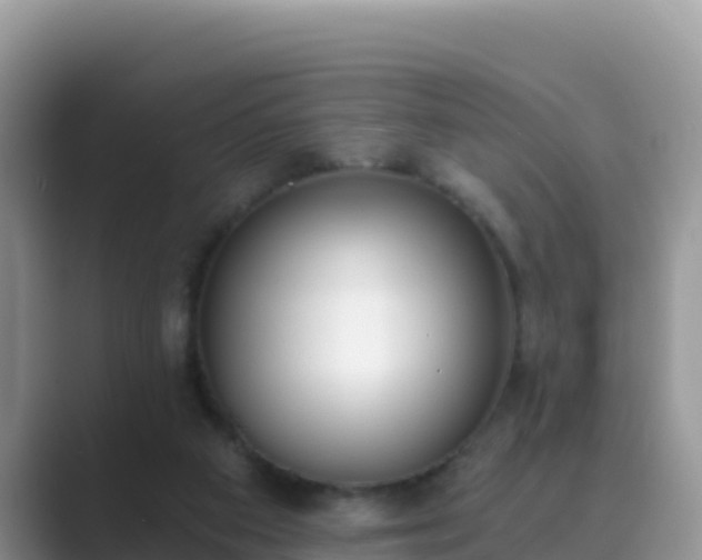 X0000089830113200707051046