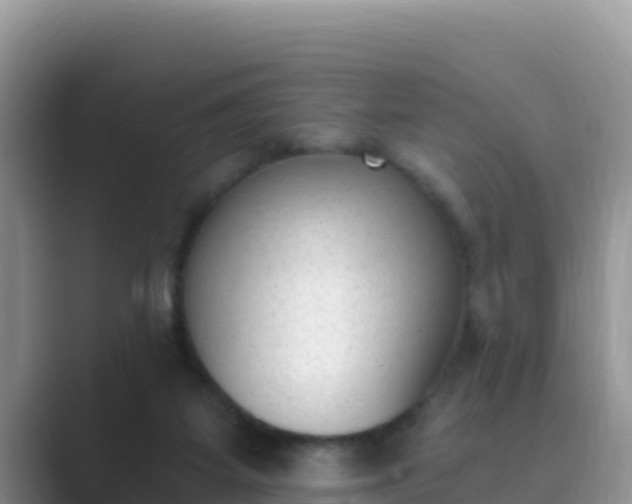 X0000089830115200707051046