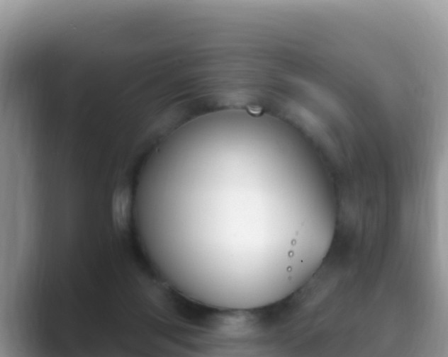 X0000089830118200707051045