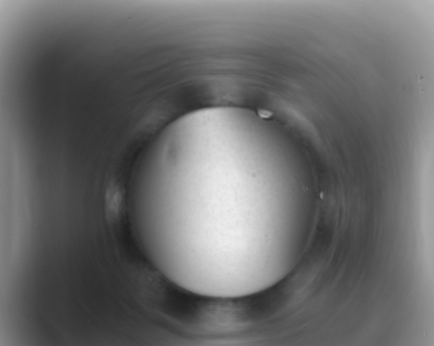 X0000089830123200707051045