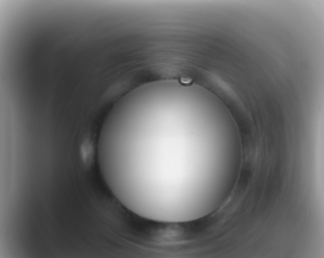 X0000089830124200707051045