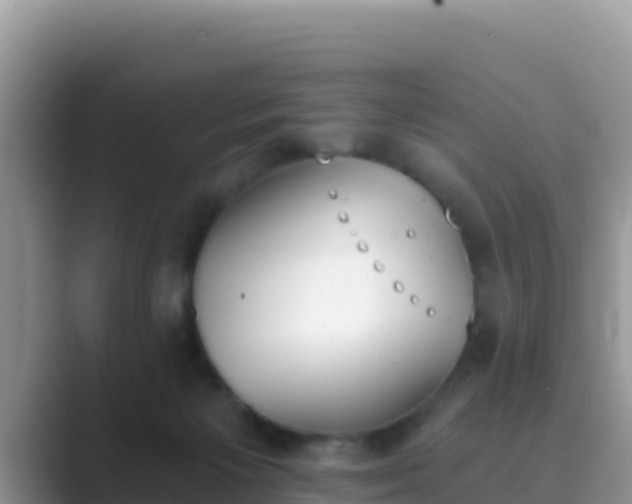 X0000089830125200707051045