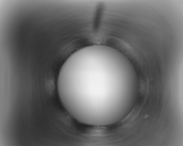 X0000089830128200707051045