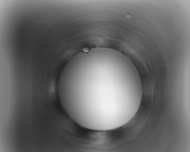 X0000089830132200707051045