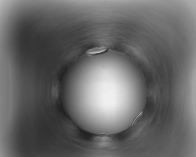 X0000089830133200707051045