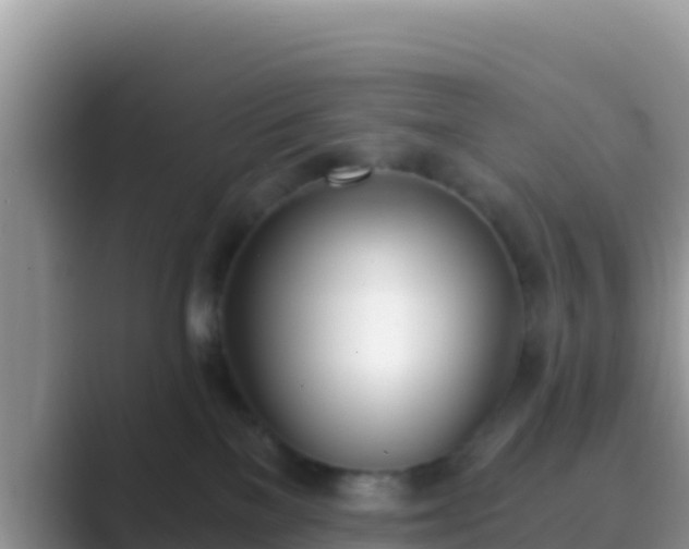 X0000089830137200707051045