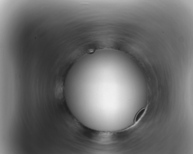 X0000089830144200707051045