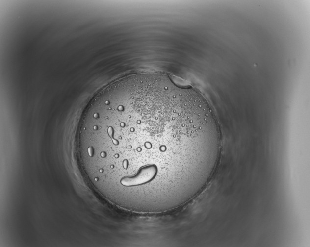 X0000089830145200707051045