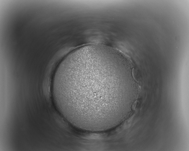 X0000089830149200707051045