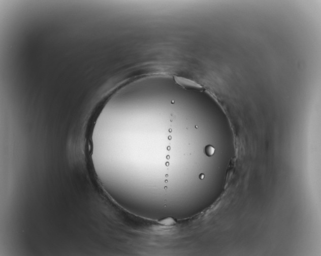 X0000089830150200707051045