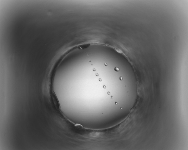 X0000089830152200707051045