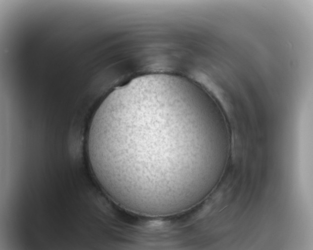 X0000089830153200707051045