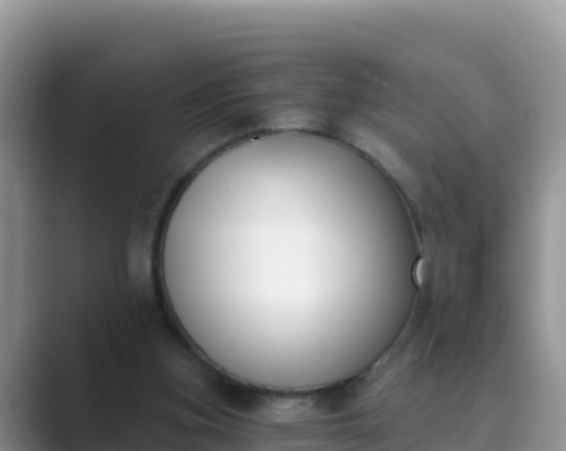 X0000089830155200707051045