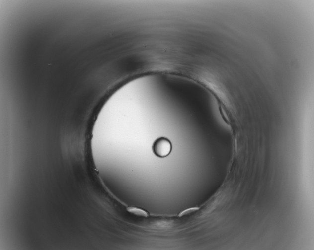 X0000089830156200707051045