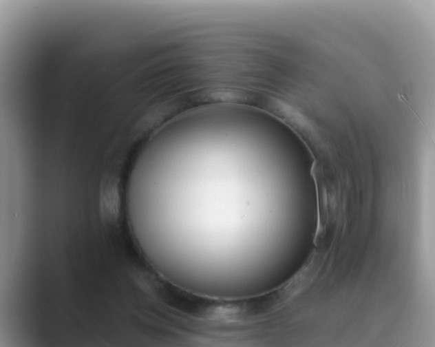 X0000089830158200707051045