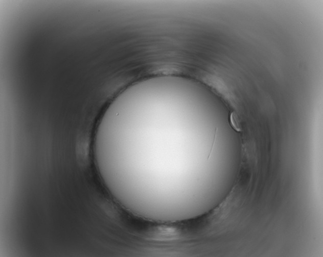 X0000089830159200707051045