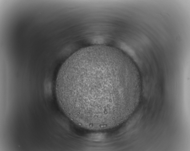 X0000089830161200707051045