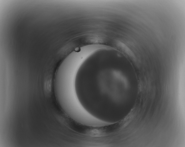 X0000089830163200707051045