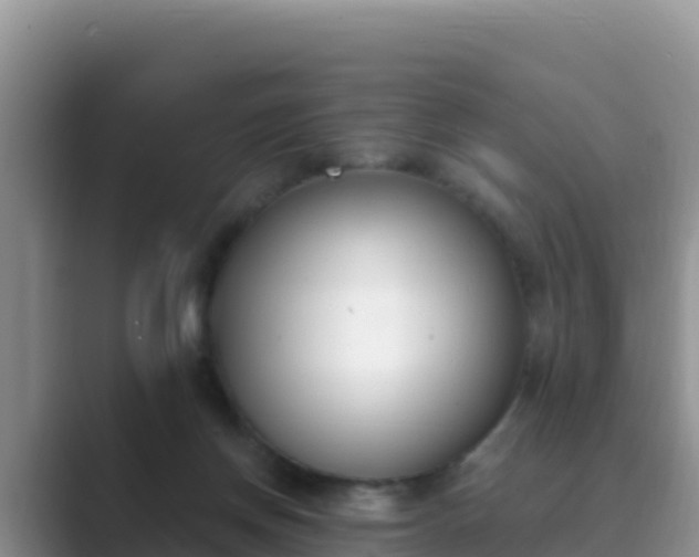 X0000089830166200707051045