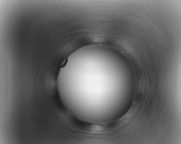 X0000089830176200707051045