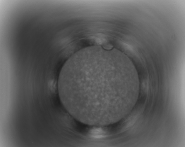 X0000089830177200707051045