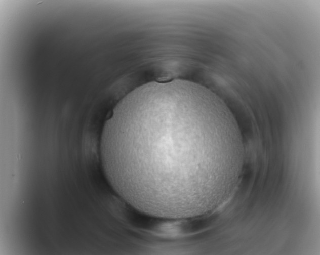 X0000089830178200707051045