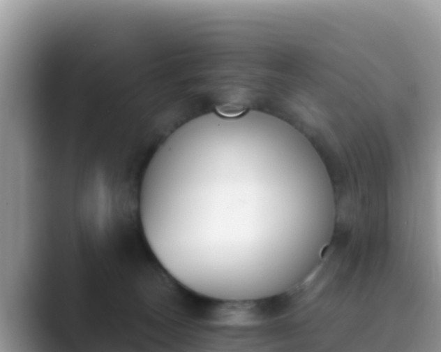 X0000089830179200707051045