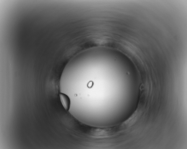 X0000089830180200707051045