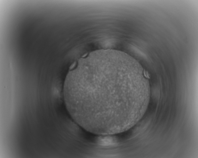 X0000089830181200707051045