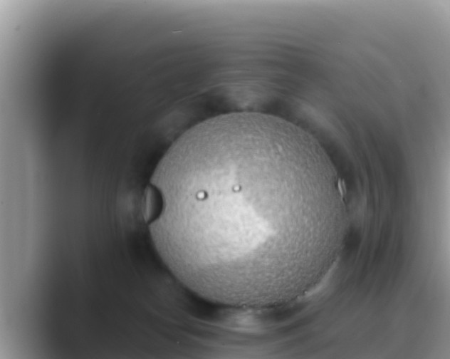 X0000089830182200707051045