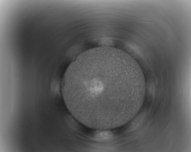 X0000089830185200707051045