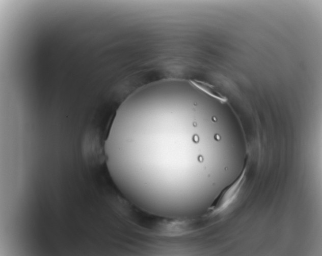 X0000089830186200707051045