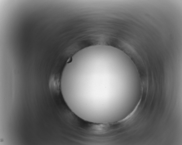 X0000089830190200707051045