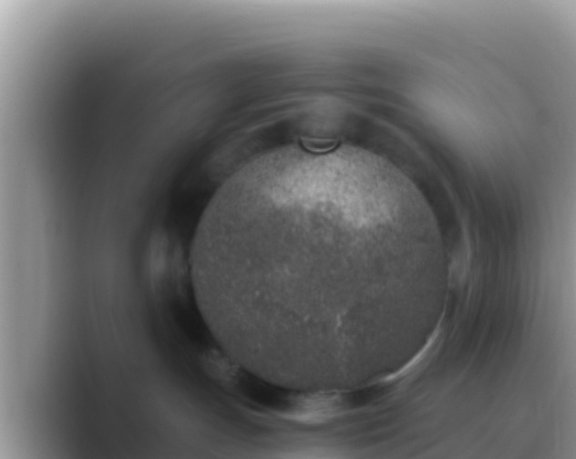 X0000089830191200707051045