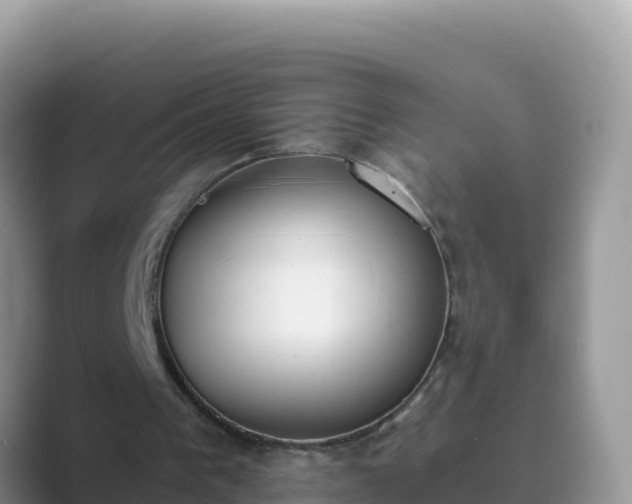 X0000089830193200707051045