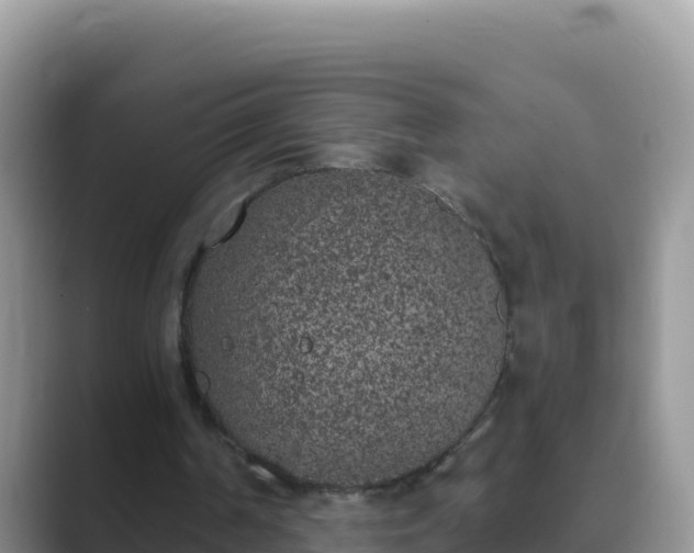 X0000089830194200707051045