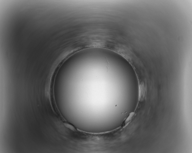 X0000089830195200707051045