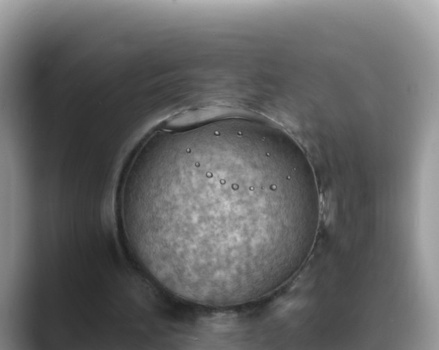 X0000089830196200707051045