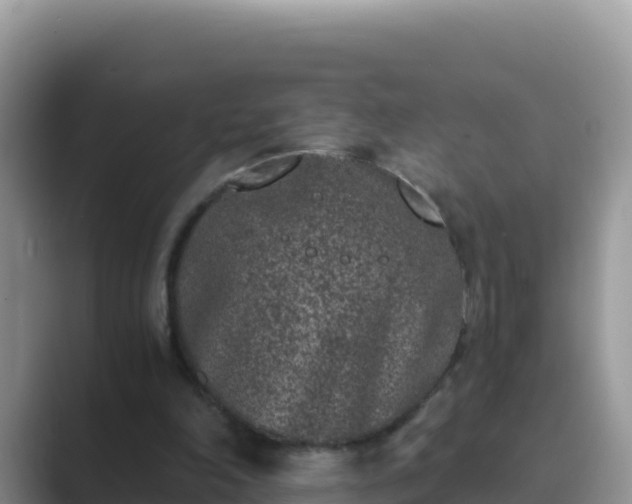 X0000089830198200707051045