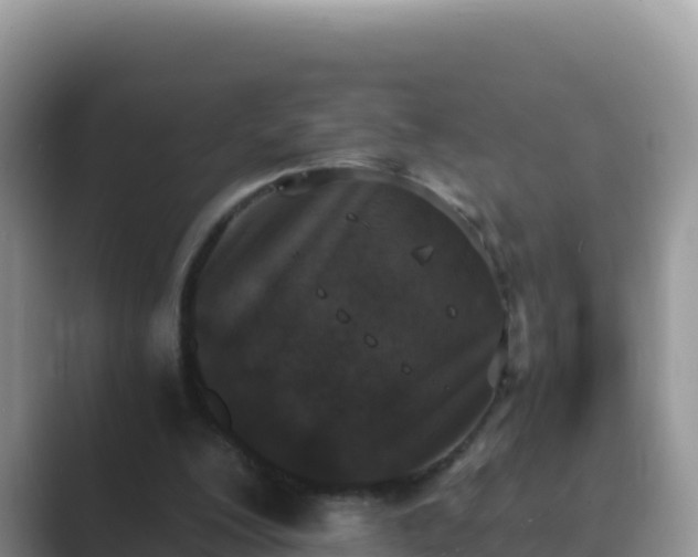 X0000089830200200707051045